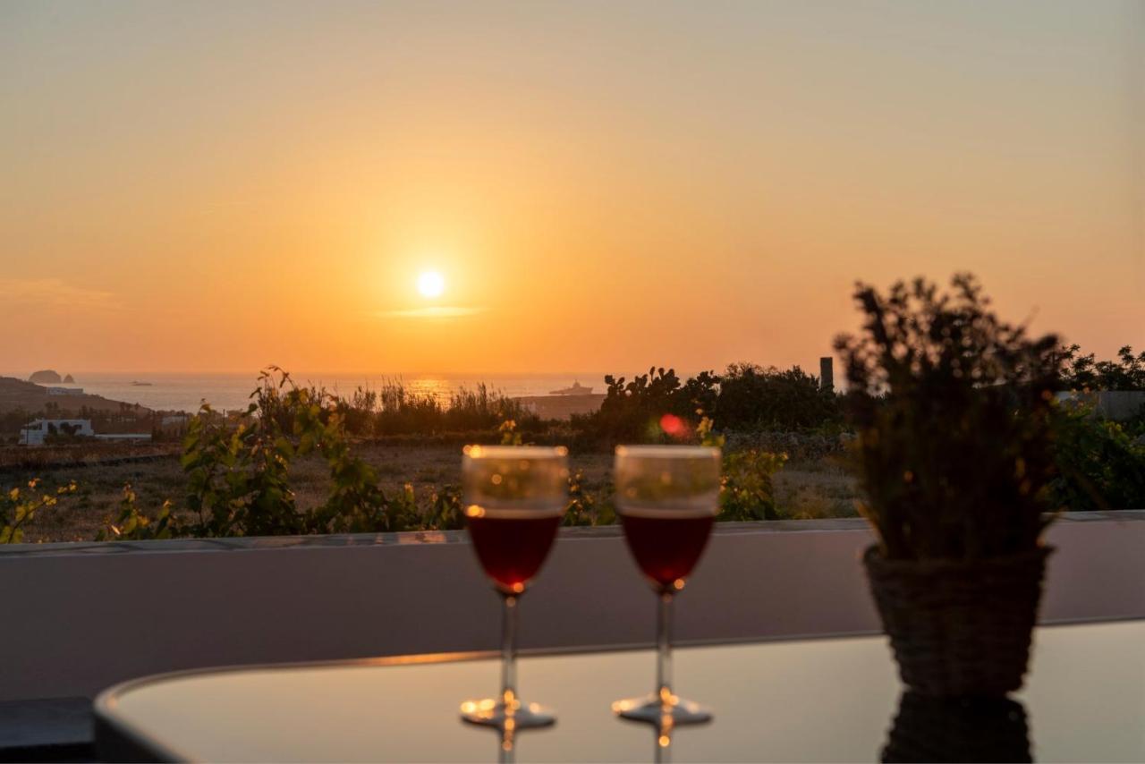 Villa Kalamies パロス島 エクステリア 写真